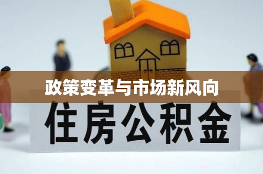 铁门关政策变革与市场新风向