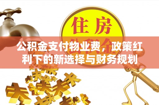 铁门关公积金支付物业费，政策红利下的新选择与财务规划