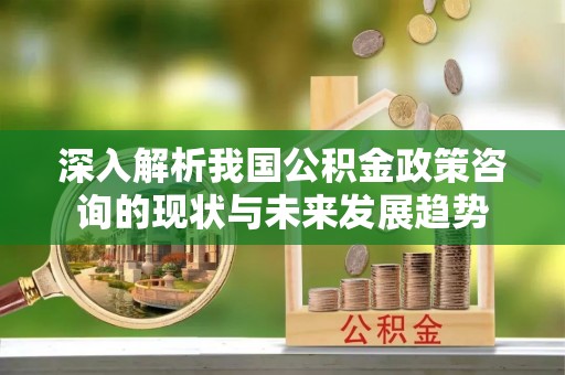 铁门关深入解析我国公积金政策咨询的现状与未来发展趋势