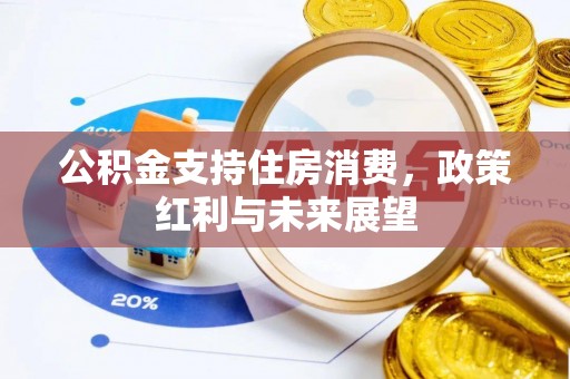 铁门关公积金支持住房消费，政策红利与未来展望