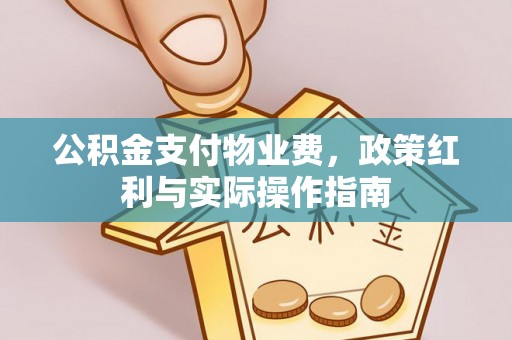 铁门关公积金支付物业费，政策红利与实际操作指南