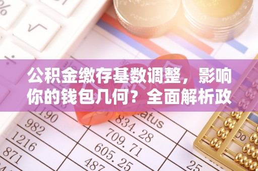 铁门关公积金缴存基数调整，影响你的钱包几何？全面解析政策与实际收益