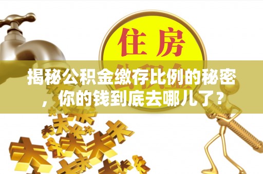 铁门关揭秘公积金缴存比例的秘密，你的钱到底去哪儿了？