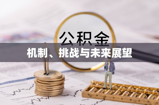 铁门关机制、挑战与未来展望
