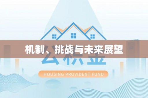 铁门关机制、挑战与未来展望